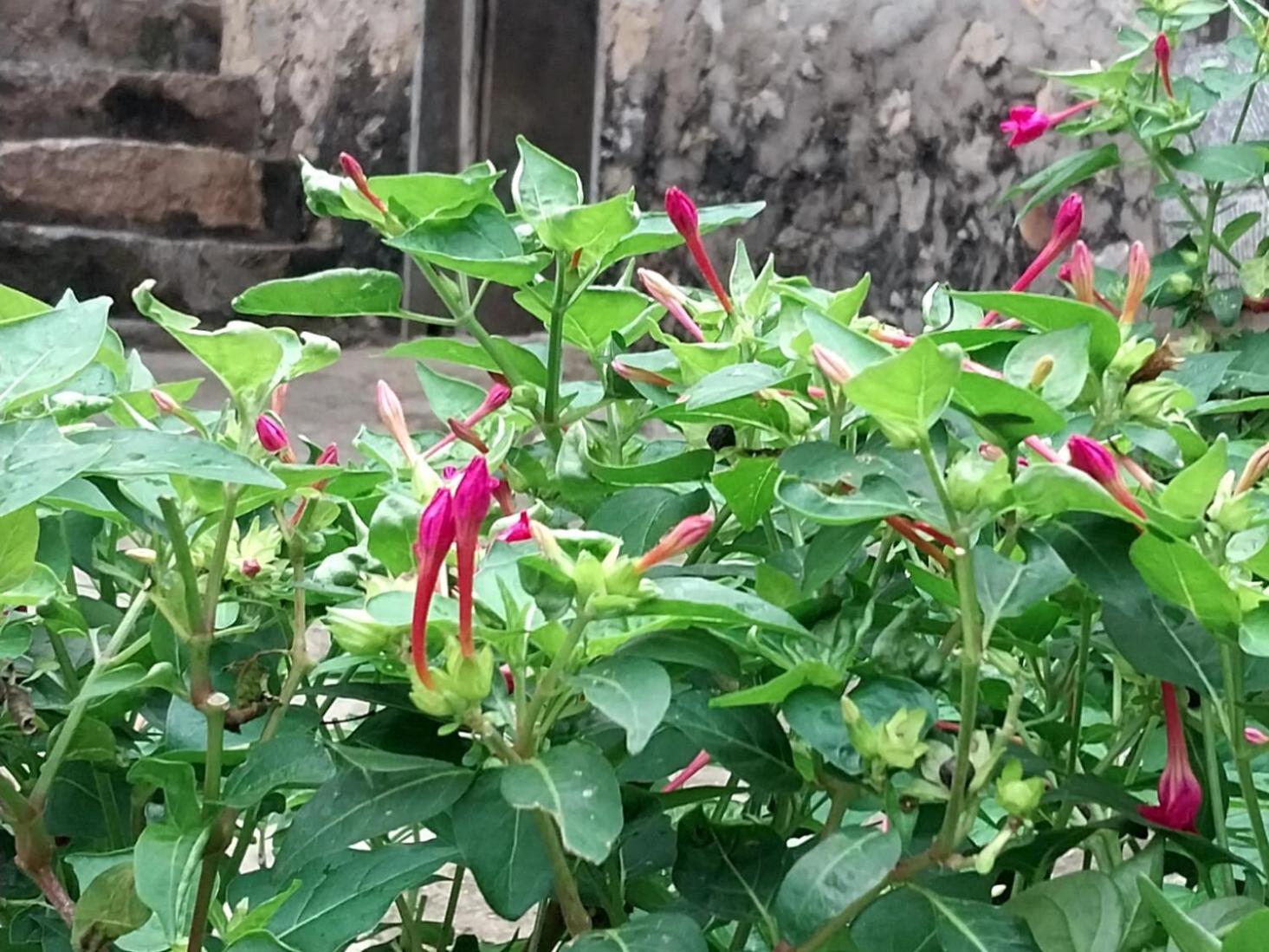 Trieu Hoan Homestay Cao Bang Εξωτερικό φωτογραφία