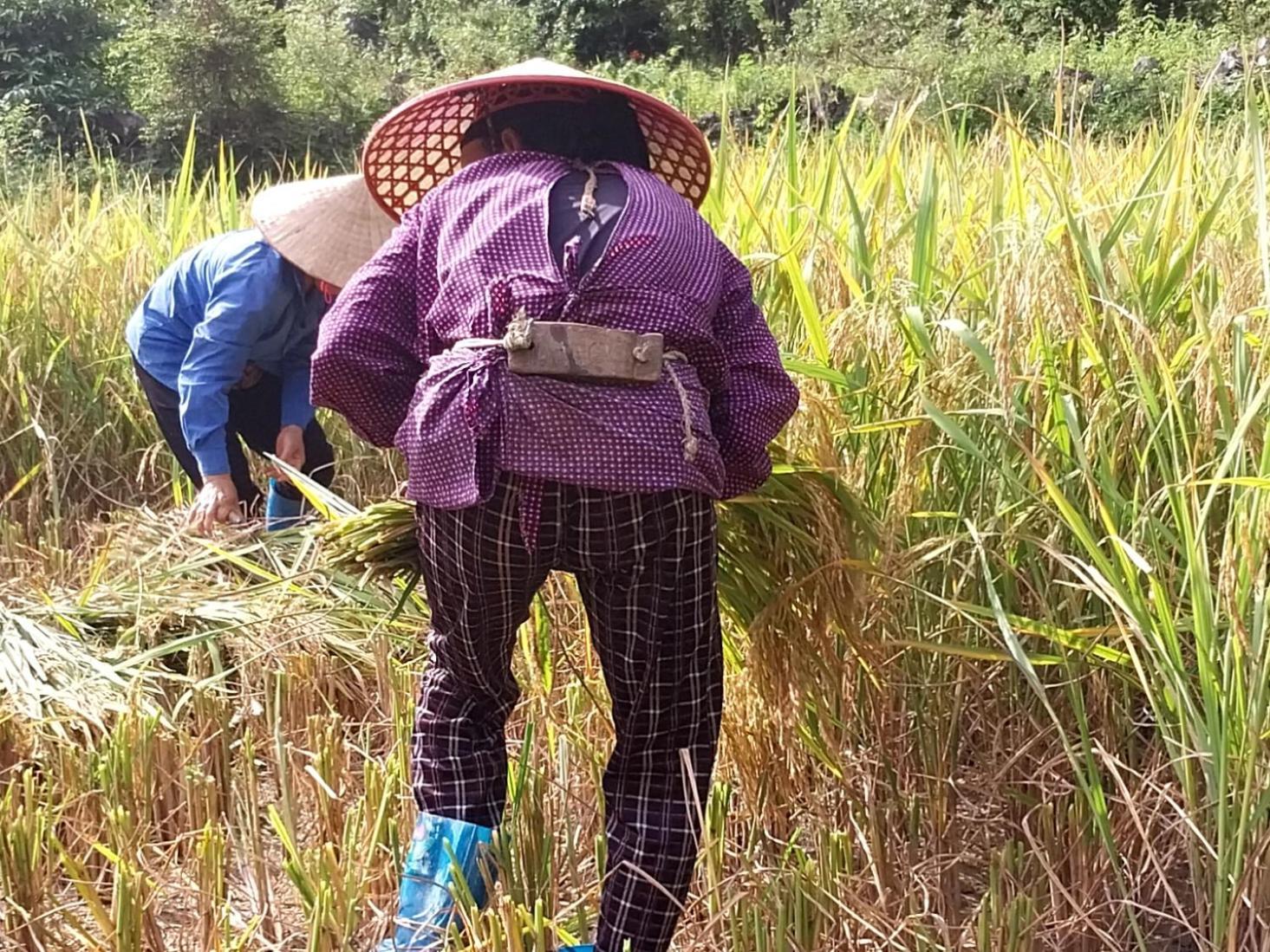 Trieu Hoan Homestay Cao Bang Εξωτερικό φωτογραφία